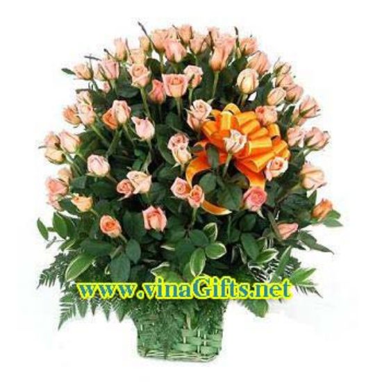 Picture of VNG-RO-Orangeroses