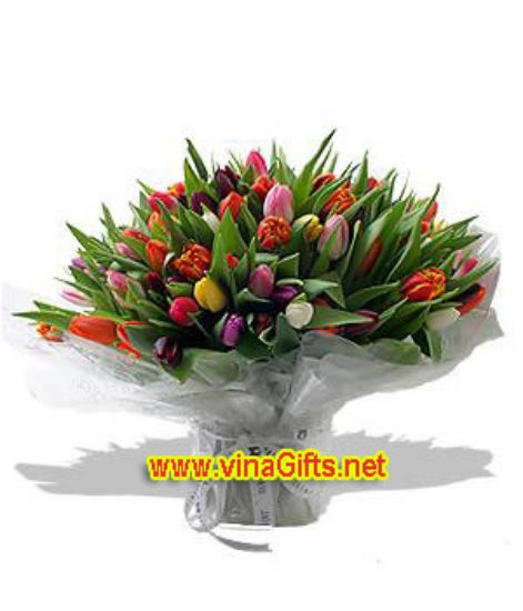 Picture of VNG-RO-99tulip