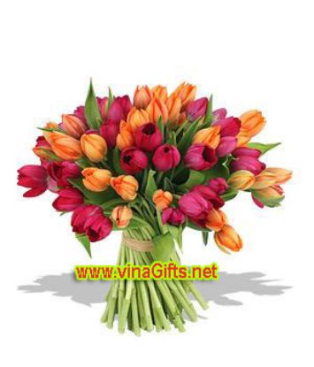 Picture of VNG-RO-50tulip