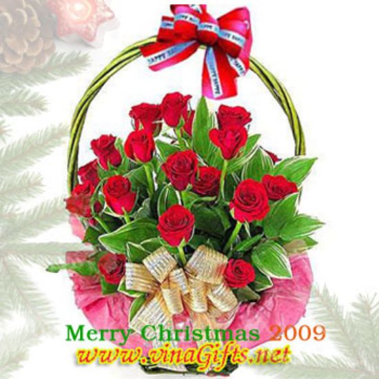 Picture of VNG-Noel-Xmasrose