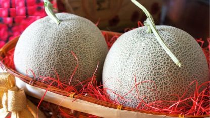 Picture of VNG-OT-Melon