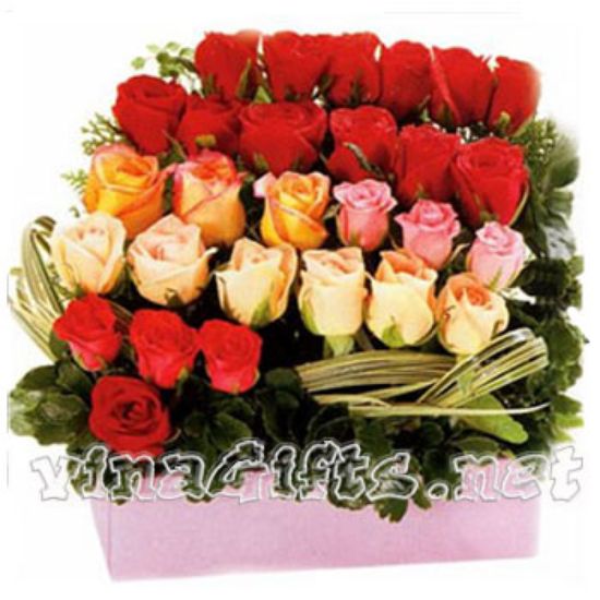 Picture of VNG-RO-48MixedRoses090109