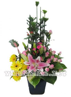 Picture of VNG-OC-OfficeFlowers0911457