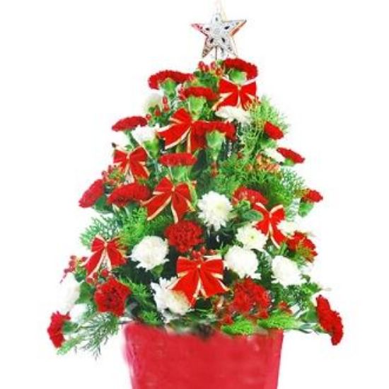 Picture of VNG-RO-XmasBasket012010