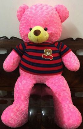 Picture of VNG-TB-PinkTeddybearWearing