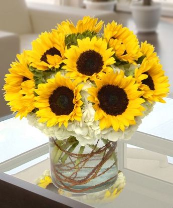 Picture of VNG-RO-SunFlowers07