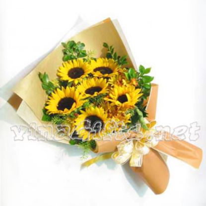 Picture of VNG-RO-SunFlowers45