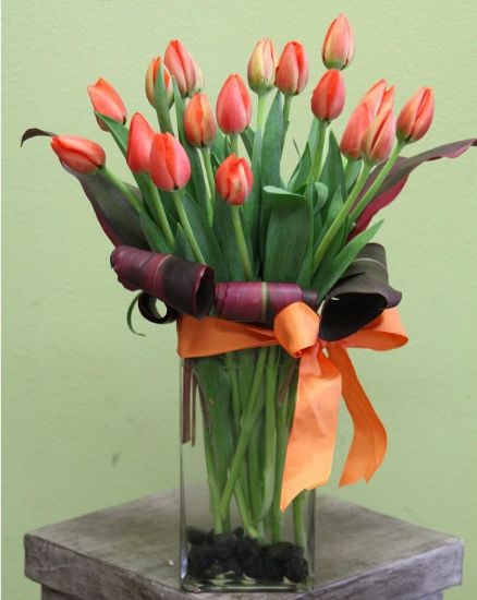 Picture of VNG-IMF-Tulip11876