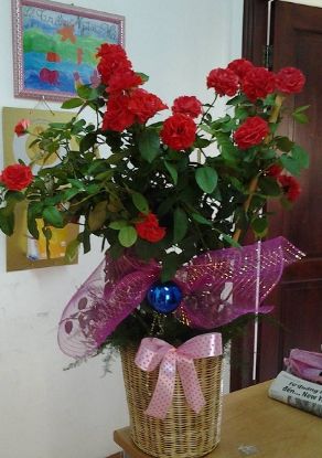 Picture of VNG-Noel-Xmas Roses