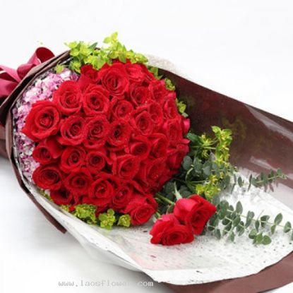 Picture of VNG-RO-48 red roses