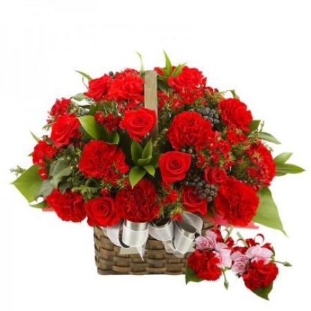 Picture for category Carnations