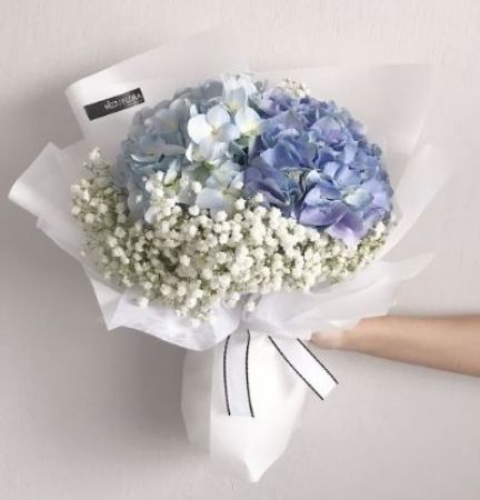 Picture for category Hydrangea